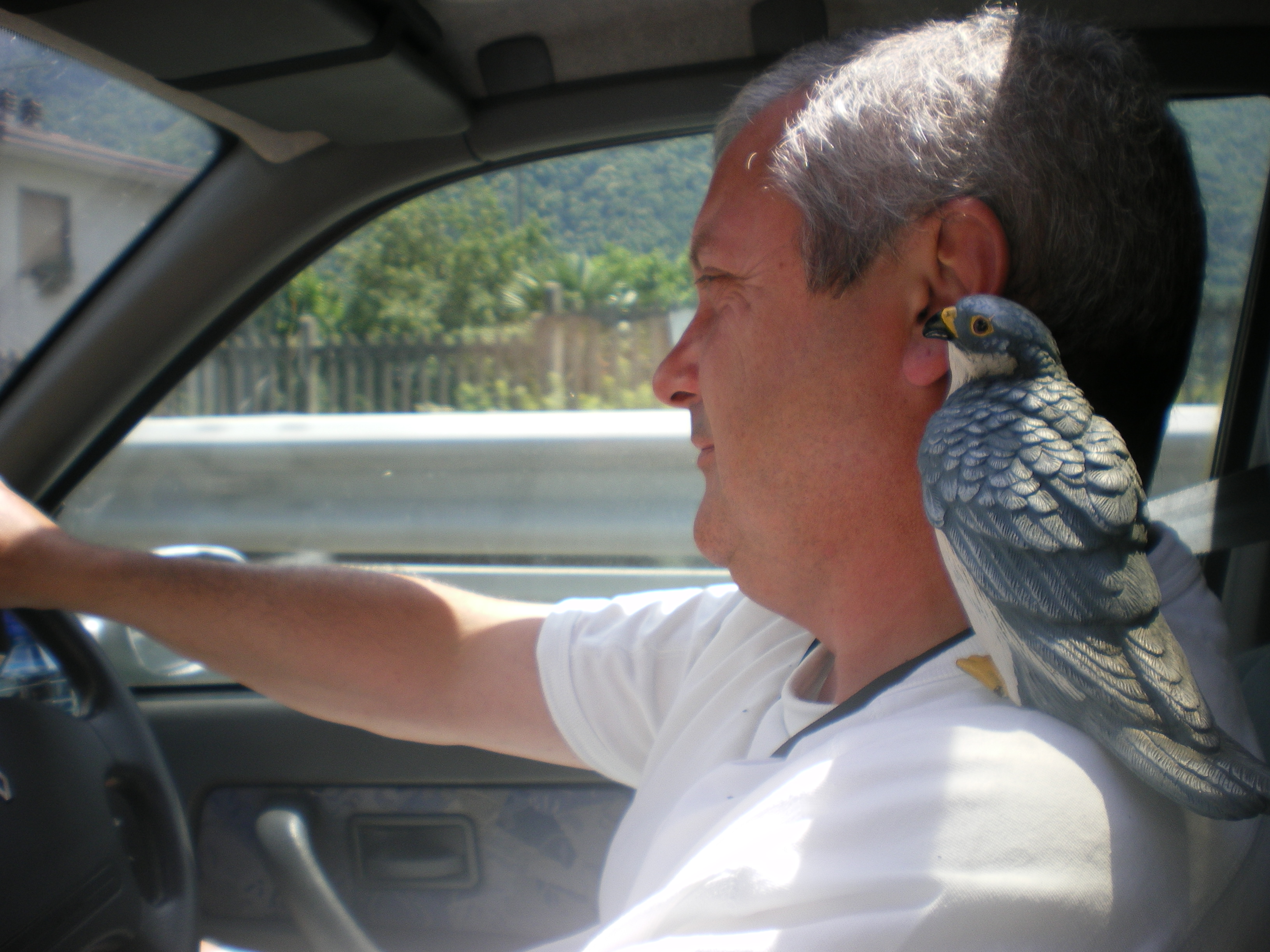 BeakyBlinders